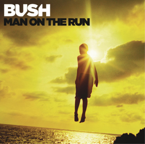 Man On the Run