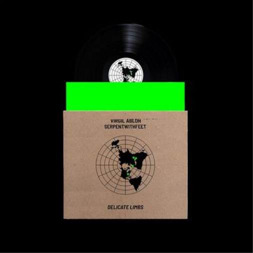 Delicate Limbs (Remixes)