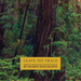 Leave No Trace