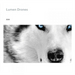 Lumen Drones