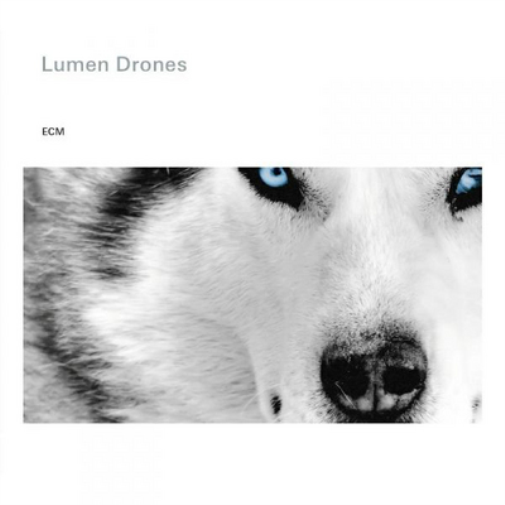Lumen Drones