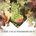 Live at Roadburn 2013