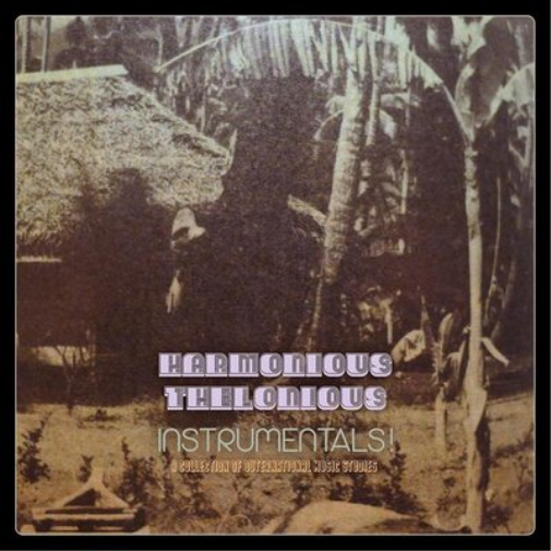 Instrumentals!: A Collection of Outernational Music Studies