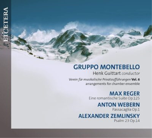 Verein Für Musikalische Privataufführungen: Arrangements for Chamber Music - Volume 6