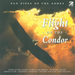 Flight of the Condor