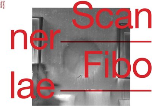 Fibolae