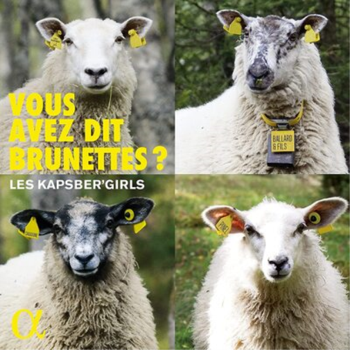 Les Kapsber'Girls: Vous Avez Dit Brunettes?