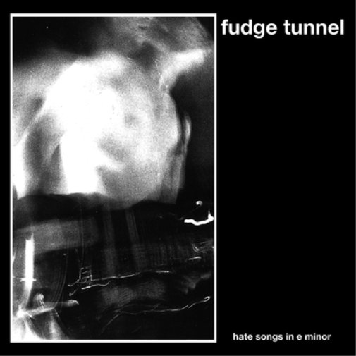 Hate Songs in E Minor