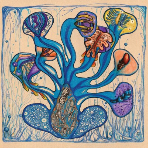 Fleuves De L'Âme