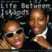 Life Between Islands - Soundsystem Culture: Black Musical Expression in the UK 1973-2006