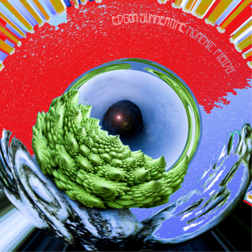 Morphic Fields