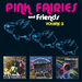 The Pink Fairies and Friends - Volume 2
