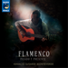 Flamenco: Pasado Y Presente