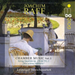 Joachim Raff: Chamber Music: String Quartets Op. 138 & 192, 2 'Die Schöne Müllerin' - Volume 2